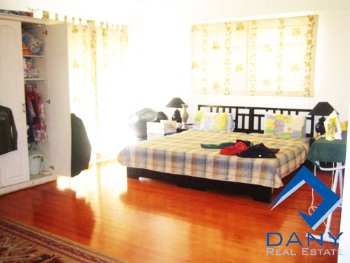Residential Apartment For Rent Furnished in Maadi Digla Great Cairo Egypt