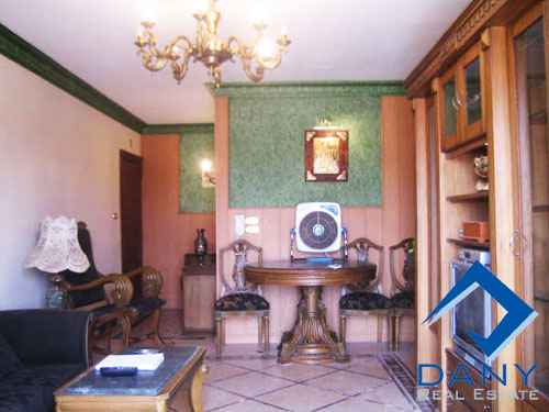 Residential Apartment For Rent Furnished in Maadi Digla Great Cairo Egypt