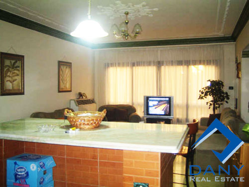Residential Apartment For Rent Furnished in Maadi Digla Great Cairo Egypt