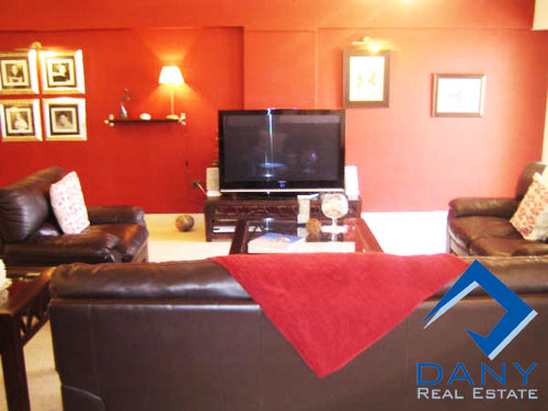 Residential Apartment For Rent Furnished in Maadi Digla Great Cairo Egypt