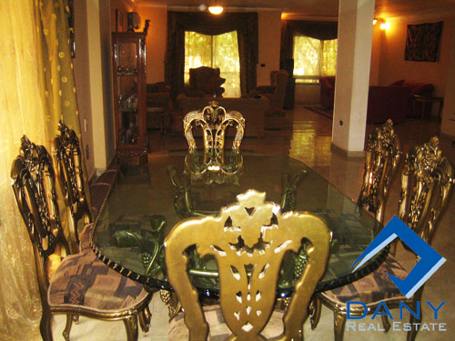 Residential Apartment For Rent Furnished in Maadi Digla Great Cairo Egypt