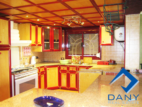Residential Apartment For Rent Furnished in Maadi Digla Great Cairo Egypt