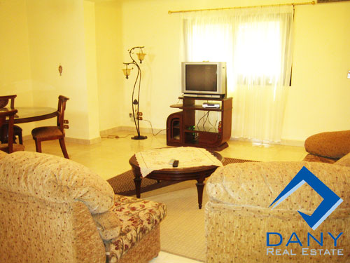 Residential Apartment For Rent Furnished in Maadi Digla Great Cairo Egypt