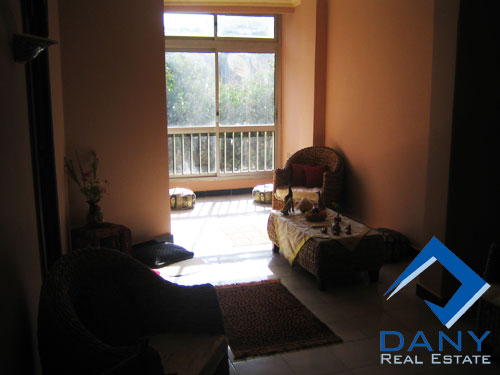 Residential Apartment For Rent Furnished in Maadi Digla Great Cairo Egypt