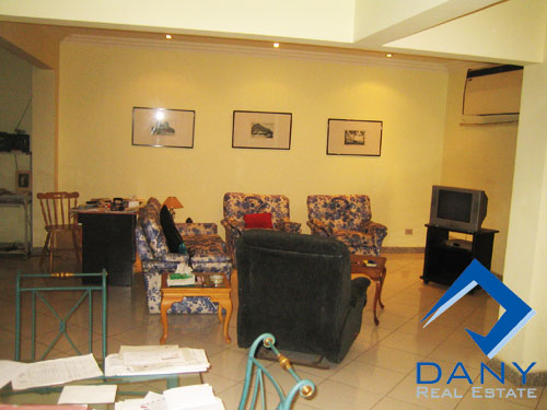Residential Apartment For Rent Furnished in Maadi Digla Great Cairo Egypt