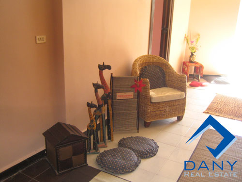 Residential Apartment For Rent Furnished in Maadi Digla Great Cairo Egypt