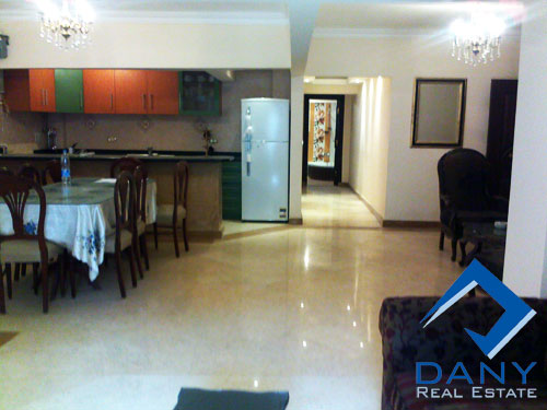 Residential Apartment For Rent Furnished in Maadi Digla Great Cairo Egypt