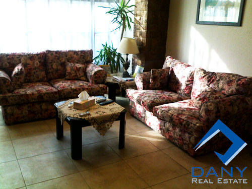Residential Apartment For Rent Furnished in Maadi Digla Great Cairo Egypt