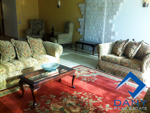 Residential Apartment For Rent Furnished in Maadi Digla Great Cairo Egypt