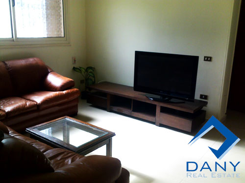 Residential Apartment For Rent Furnished in Maadi Digla Great Cairo Egypt