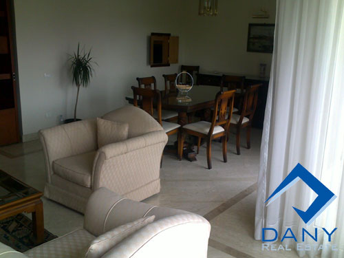 Residential Apartment For Rent Furnished in Maadi Digla Great Cairo Egypt