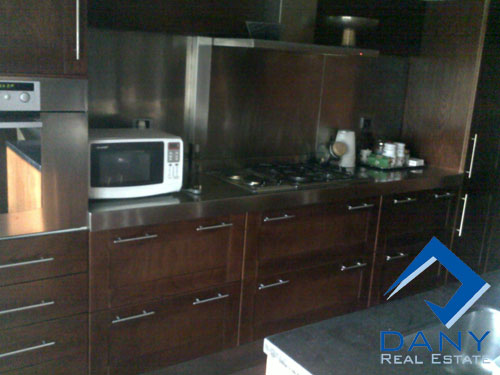 Residential Apartment For Rent Furnished in Maadi Digla Great Cairo Egypt