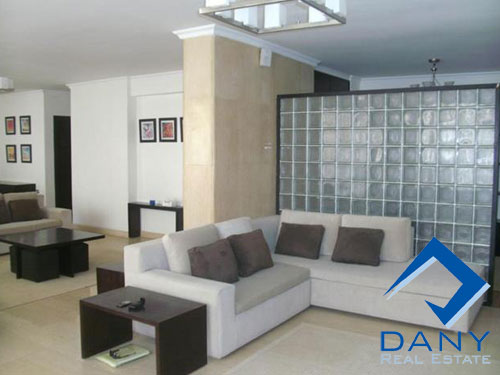 Residential Apartment For Rent Furnished in Maadi Digla Great Cairo Egypt