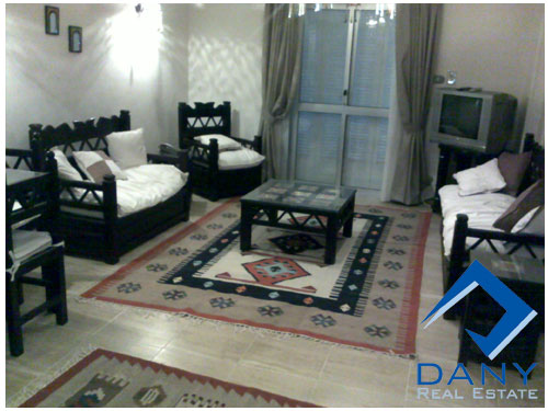 Residential Apartment For Rent Furnished in Maadi Digla Great Cairo Egypt