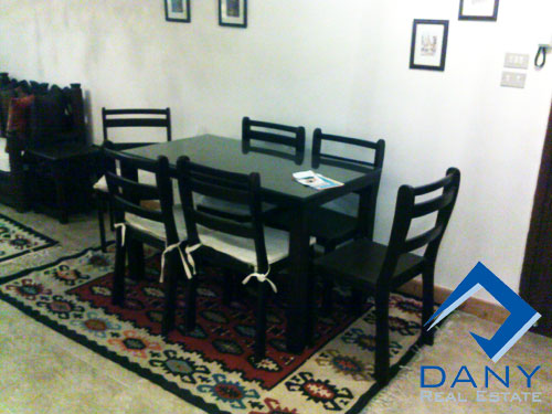 Residential Apartment For Rent Furnished in Maadi Digla Great Cairo Egypt