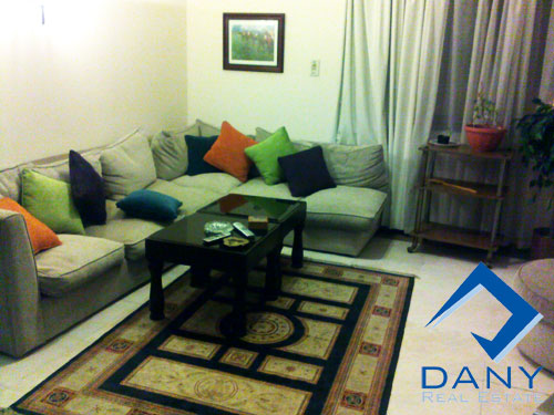 Residential Apartment For Rent Furnished in Maadi Digla Great Cairo Egypt
