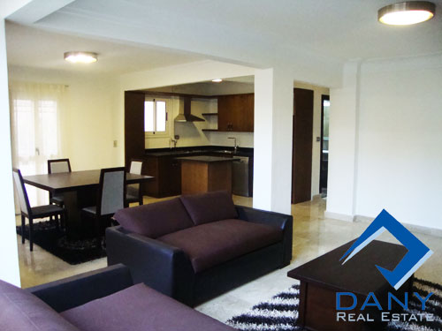 Residential studio For Rent Furnished in Maadi Digla Great Cairo Egypt