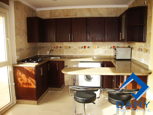 Residential studio For Rent Semi Furnished in Maadi Digla Great Cairo Egypt