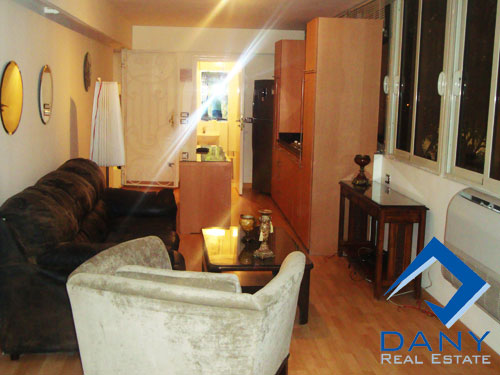 Residential studio For Rent Furnished in Maadi Digla Great Cairo Egypt